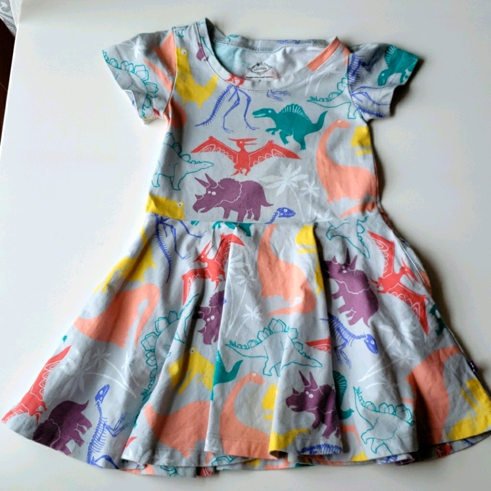 Princess Awesome dinosaur dress size 3T